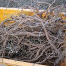 할머니농장 이미지