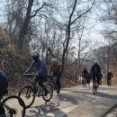 양수리오리학교 Daum카페