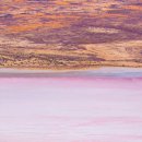 사우스 오아시스 이미지