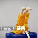 이안 태권도장 이미지