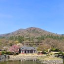 운림산방 가볼만한곳 총정리｜진도 신비의 바닷길·국악원·세방낙조 여행루트