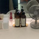 데일리앤스파 이미지