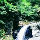폭포펜션 Daum카페