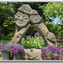 목석화수 Daum카페