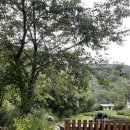 화개햇살민박 이미지