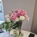 내일도 카롱 이미지