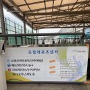 바다세상 | 오정레포츠센터 주말 자유수영 후기