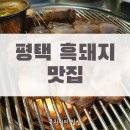 제주돈애