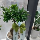 파리바게뜨중동그린타운 이미지