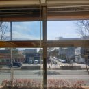 포항중앙동물병원 이미지