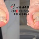 레푸스원주점