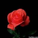 요가와 명상 2 이미지