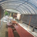 일번지펜션 이미지