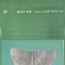 대영화장품 이미지