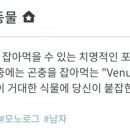26meat 이미지