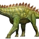 스테고사우루스-1 이미지