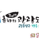 [코스모스/고령/축제/페스티벌] 대가야 2016 고령 꽃 페스티벌 이미지