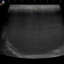 24시 청주이음동물의료센터 이미지