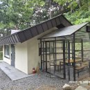 고령.성주.칠곡 나들이(2026.7.8) 이미지
