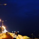 탑동랜드 이미지