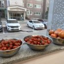 꿈터어린이집-놀이터 이미지