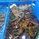 놀부정육식당 | 가락시장 맛집 - 싱싱한 킹크랩 해산물까지 놀부수산 정동식당