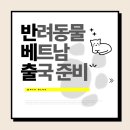 앞선동물병원 | [반려동물 출국 준비 2] 고양이와 베트남 출국 준비 (광견병, 예방접종, 건강증명서)