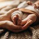 매월1 | 일리윤 케어박스 신청 시간 후기: 매월 1일 선착순 성공 구성품 팁 임산부 출산 후 튼살크림 추천!