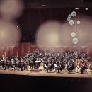 여름방학 클래식 <이상한 나라의 디토> 이미지