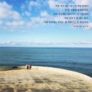 빛의서점 이미지