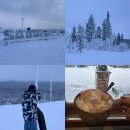 자연은 어떻게 풍경이 되었는가 | 핀란드 여행 :: 세계에서 가장 긴 눈썰매장 카우니스파 3번 탄 후기 &amp; 핫초코 맛집 Liegga Laavu