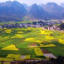 [중경] 귀양 황과수폭포+만봉림+마령하대협곡 +만봉림+직금동굴+유채꽃 축제 5일 이미지