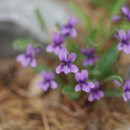 가현어린이공원 이미지