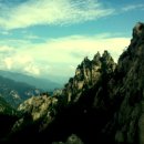 공룡발통 이미지