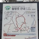(자)신*사 이미지