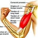 프로마인드짐 PT & 태닝 녹번점 이미지