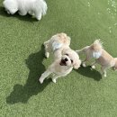 다쓰에너지 이미지