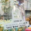부산대카페 크루아상맛집 엠비티아이카페 피넛크림라떼 솔직 후기