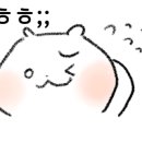 아쿠아팩토리 이미지