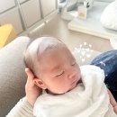 베베룬 손수건 2개월 사용후기 거즈 엠보 건조기 세탁