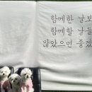 댕댕아리 이미지