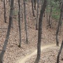 동산지하차도 이미지
