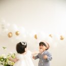 더카멜리아