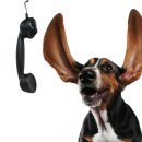 멍멍왈왈 이미지