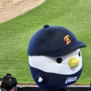 250515 대전 한화생명 볼파크 한화 vs 두산 106구역 카스존,먹거리 후기