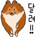 킴스 펫클리닉 이미지