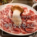 옛날참숯뒷고기 | 울산 중구 맛집 백양참숯뒷고기 내돈내산 후기, 참숯에 구운 뒷고기