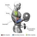근모닝 헬스 이미지