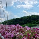 당현천근린공원앞 이미지