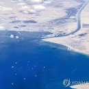 배들가축 이미지